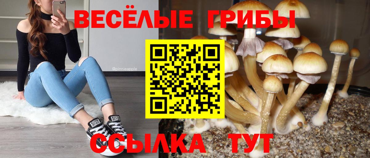 Псилоцибиновые грибы мухоморы  Вход с VPN  как найти   Нарткала 